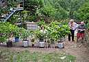 V�e kvete,sta�� p�ivon�t