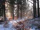 zimn� kouzlo Jest�eb�ch hor
