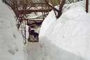 Cesta mus� b�t v�dy proh�zen�,a� napadne sn�hu sebev�ce
