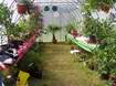 Standova ��st expozice citrus� a kv�tin