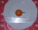 Prvn� plod rangpuru od D�i