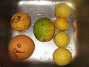 dne�n� ochutn�vka