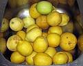 u n�s padan� jablka,tady padan� citrony