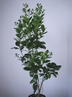 z��� 2011 prvn� kveten�